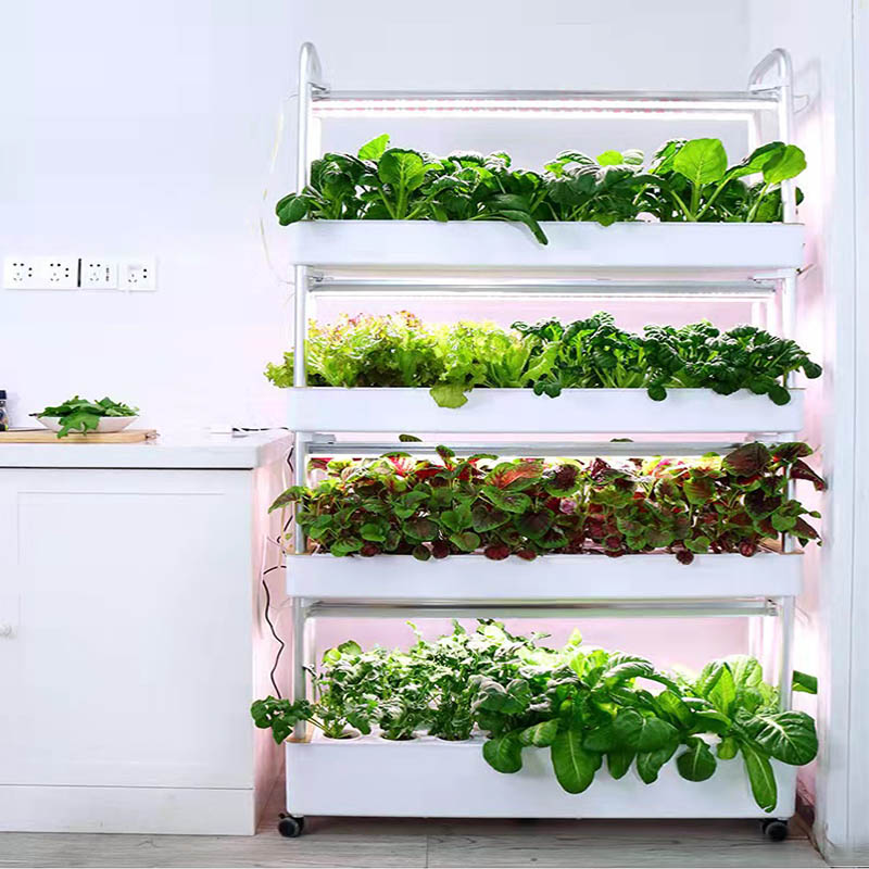 System hydroponiczny do uprawy – Home Automation Systems Diy recenzja i cena